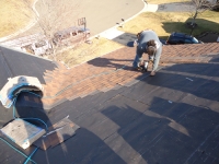 roofing expert