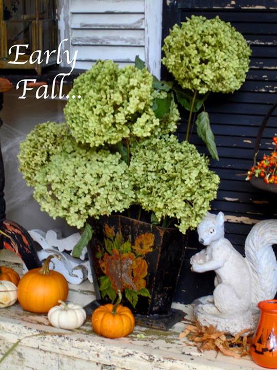 Early Fall