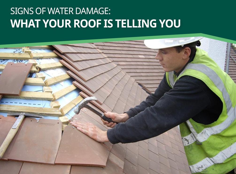 Signs of Water Damage: What Your Roof is Telling You
