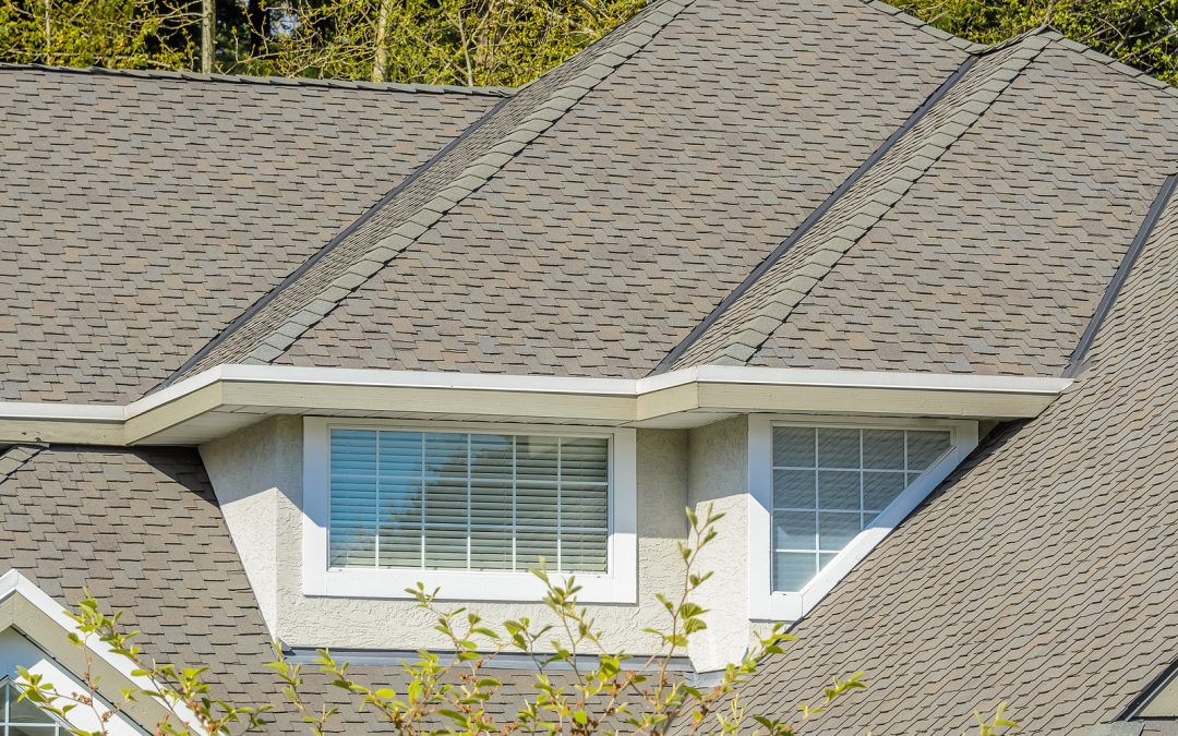 How Roof Replacements Can Differ