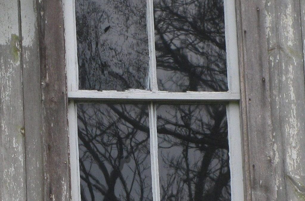 Hate Your Current Windows?